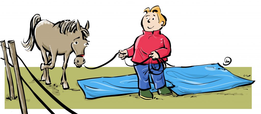 Obstakeltraining met je paard